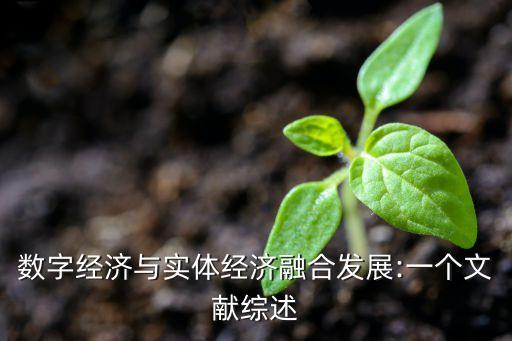 數(shù)字經(jīng)濟(jì)與實(shí)體經(jīng)濟(jì)融合發(fā)展:一個(gè)文獻(xiàn)綜述