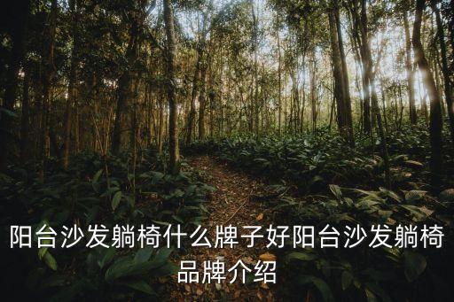 陽臺沙發(fā)躺椅什么牌子好陽臺沙發(fā)躺椅品牌介紹
