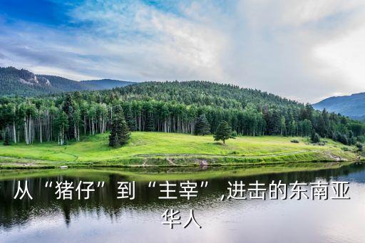 從“豬仔”到“主宰”,進(jìn)擊的東南亞華人