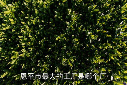 恩平市最大的工廠是哪個(gè)廠