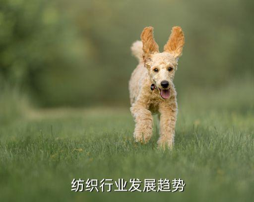  紡織行業(yè)發(fā)展趨勢(shì)