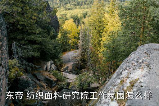 東帝 紡織面料研究院工作氛圍怎么樣