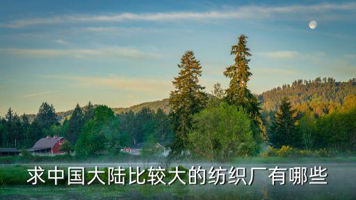 求中國大陸比較大的紡織廠有哪些