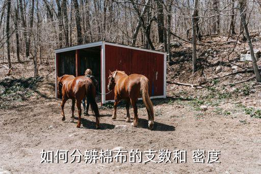 如何分辨棉布的支數(shù)和 密度