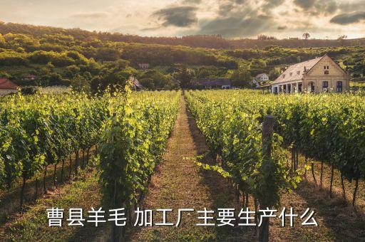 曹縣羊毛 加工廠主要生產(chǎn)什么