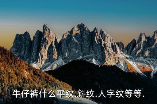 牛仔褲什么平紋.斜紋.人字紋等等.