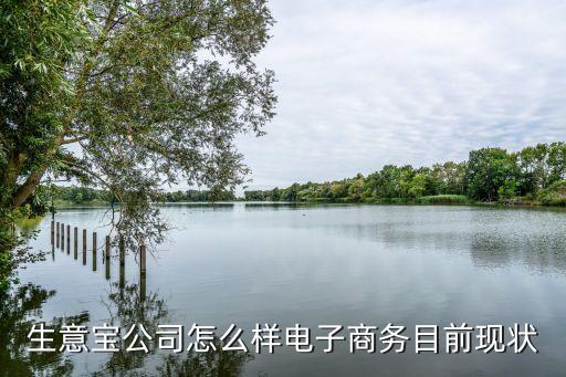 生意寶公司怎么樣電子商務(wù)目前現(xiàn)狀