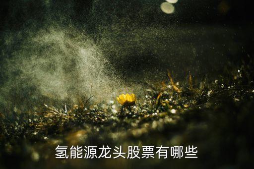 東綸股份有限公司,廈門東綸股份有限公司招聘
