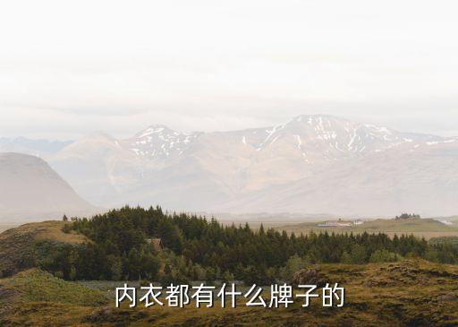 內(nèi)衣都有什么牌子的
