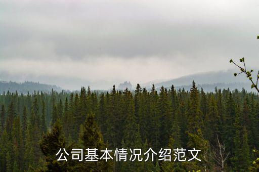 公司基本情況介紹范文