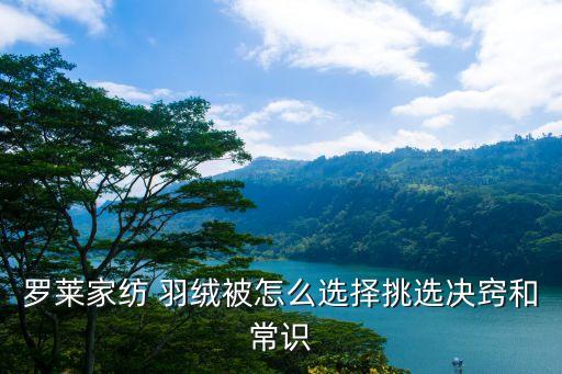 羽絨被尼龍面料,目前羽絨被最好的面料是什么