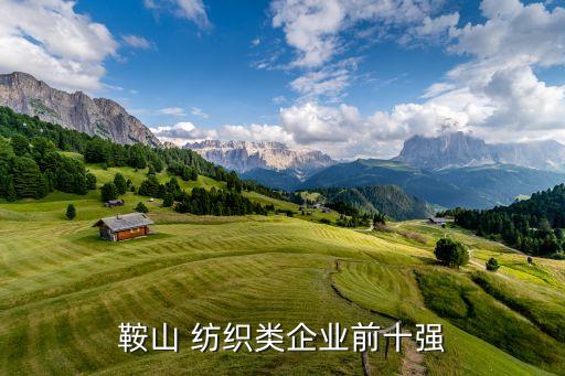 鞍山 紡織類企業(yè)前十強(qiáng)
