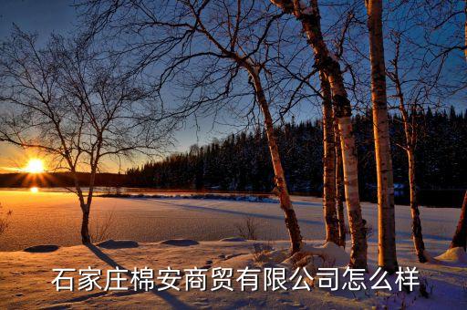 石家莊棉九紡織