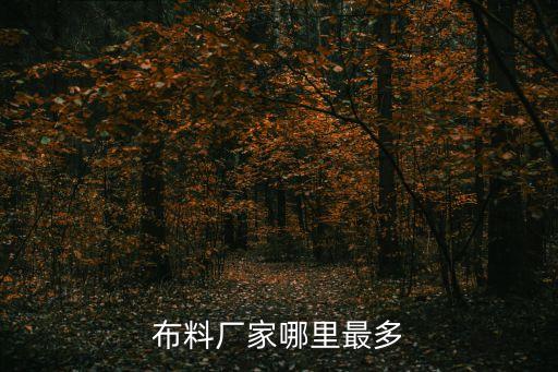 布料廠家哪里最多
