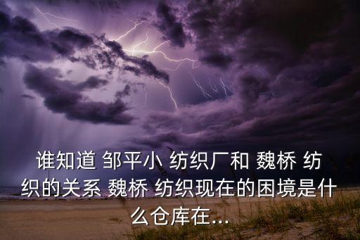鄒平魏橋紡織