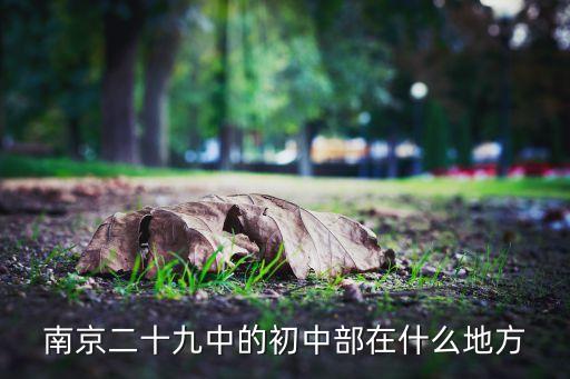 南京二十九中的初中部在什么地方