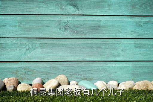 新鳳鳴 桐昆股份有限公司