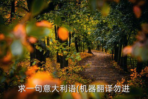 紡織機(jī)構(gòu)造,飛梭紡織機(jī)構(gòu)造圖