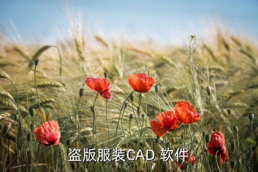 盜版服裝CAD 軟件