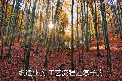 織造業(yè)的 工藝流程是怎樣的