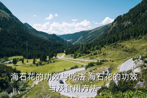 上海海石花紡織設(shè)備有限公司,江蘇海石花新材料有限公司