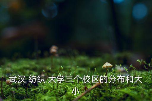 武漢 紡織 大學(xué)三個校區(qū)的分布和大小