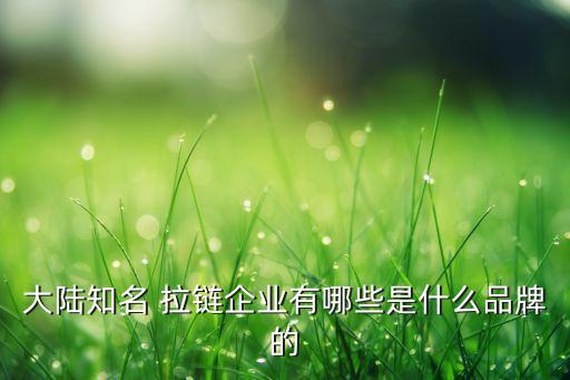 海鹽博華拉鏈有限公司,海鹽人杰拉鏈有限公司