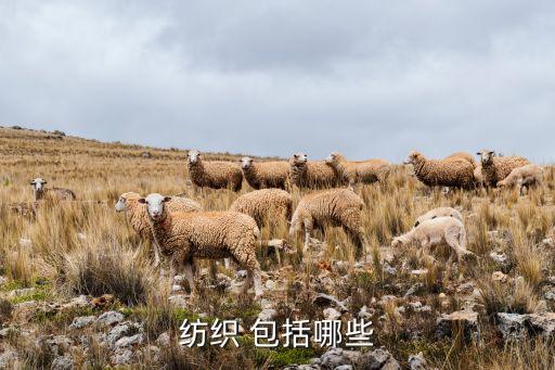 紡織 包括哪些