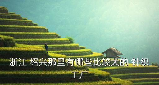 浙江 紹興那里有哪些比較大的 針織工廠