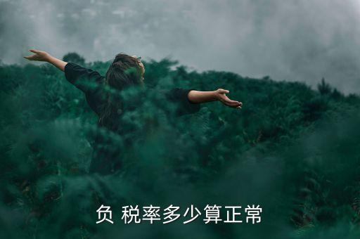 負(fù) 稅率多少算正常