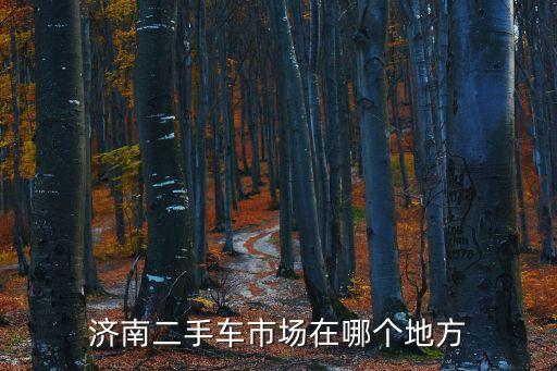 濟南二手車市場在哪個地方