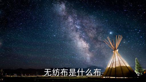 一次性的紡織品