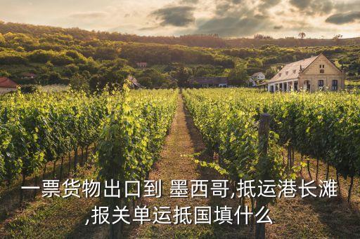一票貨物出口到 墨西哥,抵運港長灘,報關(guān)單運抵國填什么