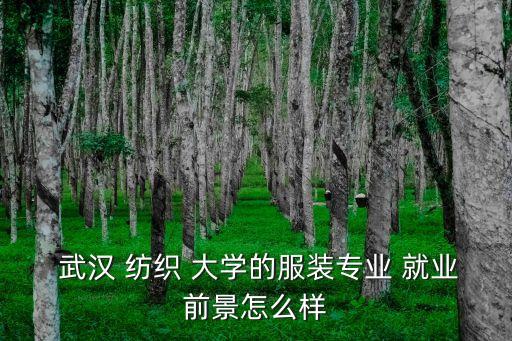 武漢紡織大學(xué)就業(yè)如何
