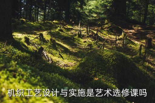 機織工藝設計與實施是藝術選修課嗎