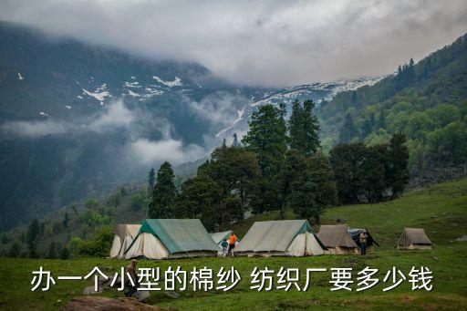 辦一個(gè)小型的棉紗 紡織廠要多少錢