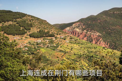 上海連成在荊門有哪些項目