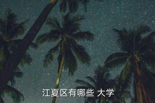  江夏區(qū)有哪些 大學(xué)