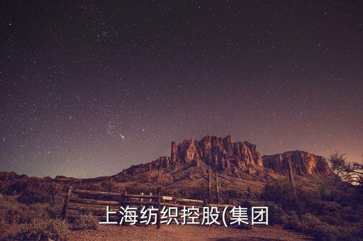 上海紡織廠有限公司,莎車縣中泰紡織廠有限公司