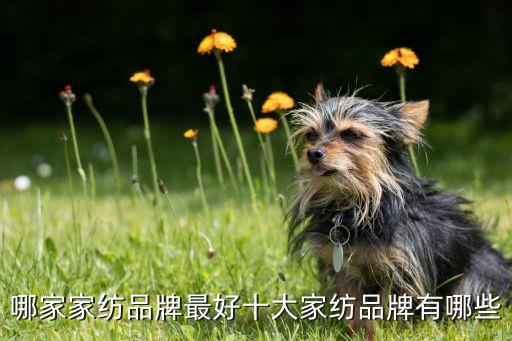 哪家家紡品牌最好十大家紡品牌有哪些