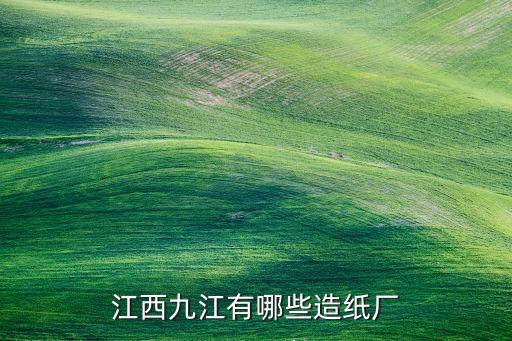 江西九江有哪些造紙廠