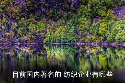 目前國內(nèi)著名的 紡織企業(yè)有哪些