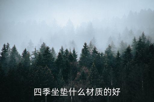四季坐墊什么材質(zhì)的好