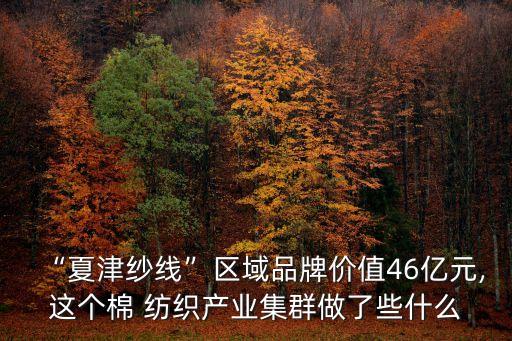 “夏津紗線”區(qū)域品牌價(jià)值46億元,這個(gè)棉 紡織產(chǎn)業(yè)集群做了些什么