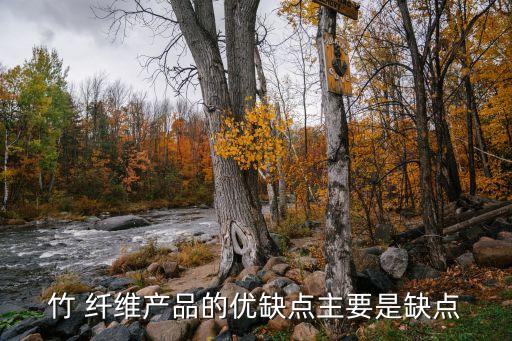 竹 纖維產(chǎn)品的優(yōu)缺點(diǎn)主要是缺點(diǎn)