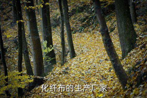  化纖布的生產(chǎn)廠家