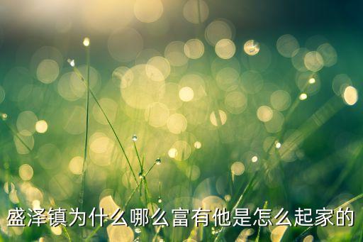 盛澤鎮(zhèn)為什么哪么富有他是怎么起家的
