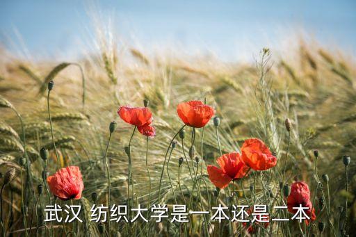 武漢 紡織大學(xué)是一本還是二本