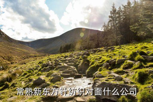 常熟新東方針紡織對(duì)面什么公司