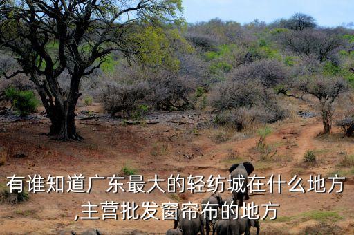 有誰知道廣東最大的輕紡城在什么地方,主營批發(fā)窗簾布的地方